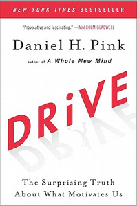 DRIVE: What Motivates Millennials?